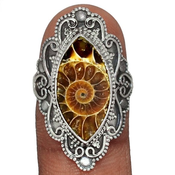 Jewelry - Artisan Ammonite Fossil Sterling Ring